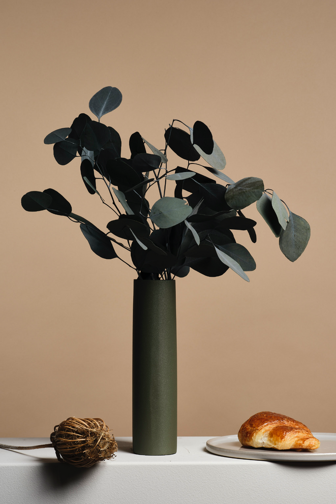 Herbarium – Botte Eucalyptus Herbarium – Botte Eucalyptus