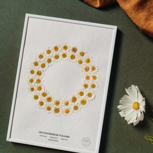 Herbarium – Herbier Marguerite Herbarium – Herbier Marguerite
