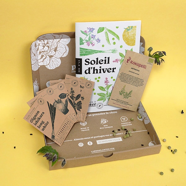 La Box à Planter – Coffret 4 box de jardinage La Box à Planter – Coffret 4 box de jardinage