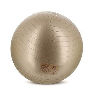 Nature & Découvertes – Ballon de pilates à base de café Nature & Découvertes – Ballon de pilates à base de café
