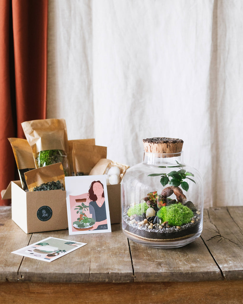 Kit – Kit Terrarium DIY – MINI ACAPULCO Kit – Kit Terrarium DIY – MINI ACAPULCO