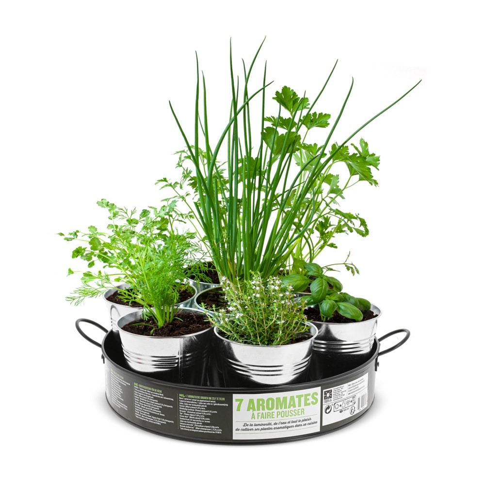 Nature & Découvertes – Plateau de 7 aromates à cultiver Nature & Découvertes – Plateau de 7 aromates à cultiver