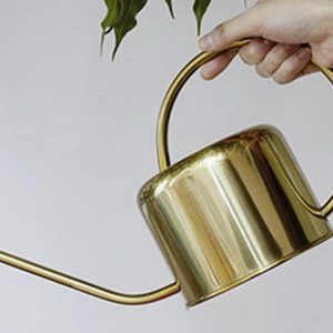 Kikkerland – Arrosoir vintage doré en inox 1,2 litres Kikkerland – Arrosoir vintage doré en inox 1,2 litres