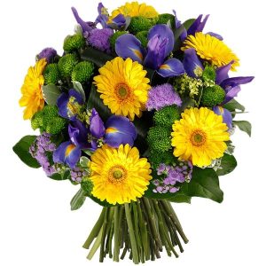Florajet – CLAIR DE LUNE Florajet – CLAIR DE LUNE