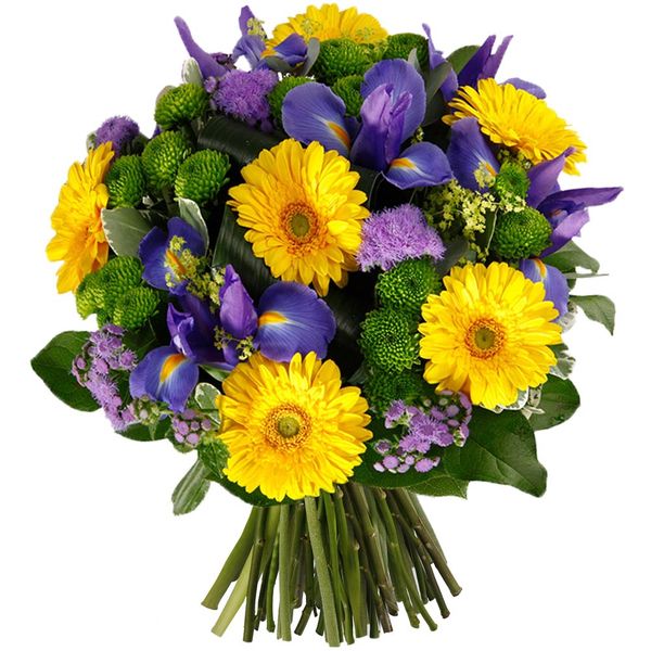 Florajet – CLAIR DE LUNE Florajet – CLAIR DE LUNE
