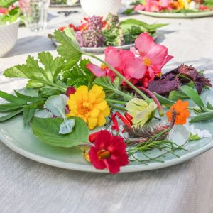 Atelier Wecandoo – Dégustez les créations florales des toits de Paris