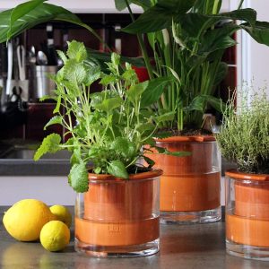 Mon petit coin vert – Pot à réserve d’eau en céramique Mon petit coin vert – Pot à réserve d’eau en céramique