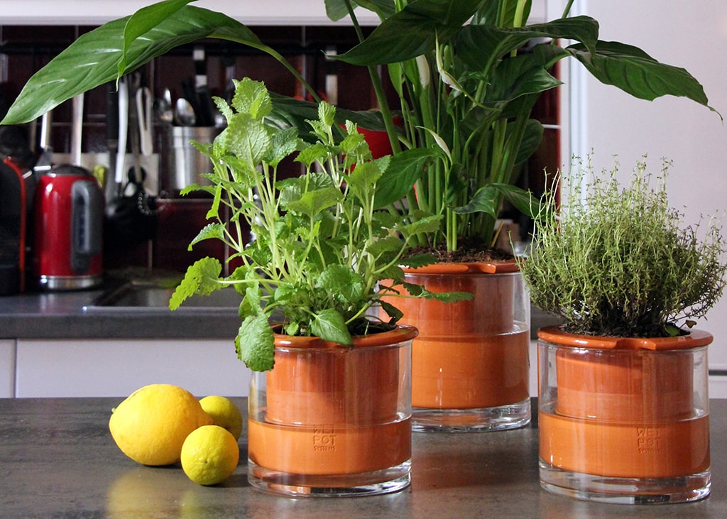 Mon petit coin vert – Pot à réserve d’eau en céramique Mon petit coin vert – Pot à réserve d’eau en céramique