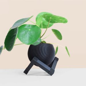 ESOXIA – Cache-pot en bois recyclé avec support pour plantes/ cactus ESOXIA – Cache-pot en bois recyclé avec support pour plantes/ cactus