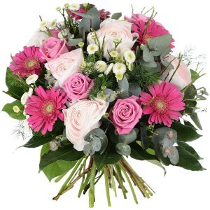 Florajet – ROSABELA Florajet – ROSABELA