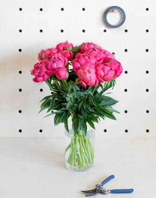 Monsieur Marguerite – Botte surprise de Pivoines Monsieur Marguerite – Botte surprise de Pivoines