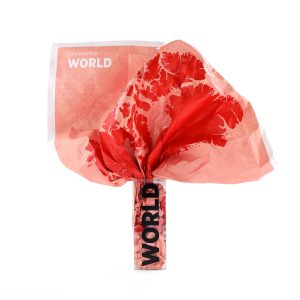 Palomar – Carte du monde à personnaliser Crumpled World by Countries / Noms de pays – Feutre effaçable inclus – 87 x 58 cm – Palomar Palomar – Carte du monde à personnaliser Crumpled World by Countries / Noms de pays – Feutre effaçable inclus – 87 x 58 cm – Palomar
