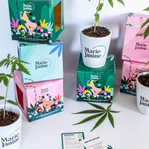 Marie Janine – Kit découverte – Chanvre à planter Marie Janine – Kit découverte – Chanvre à planter