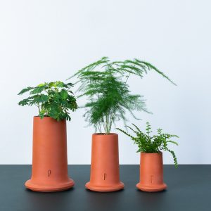 LePackDesignStudio – Mini-Mitrons à planter – Toits de Paris LePackDesignStudio – Mini-Mitrons à planter – Toits de Paris