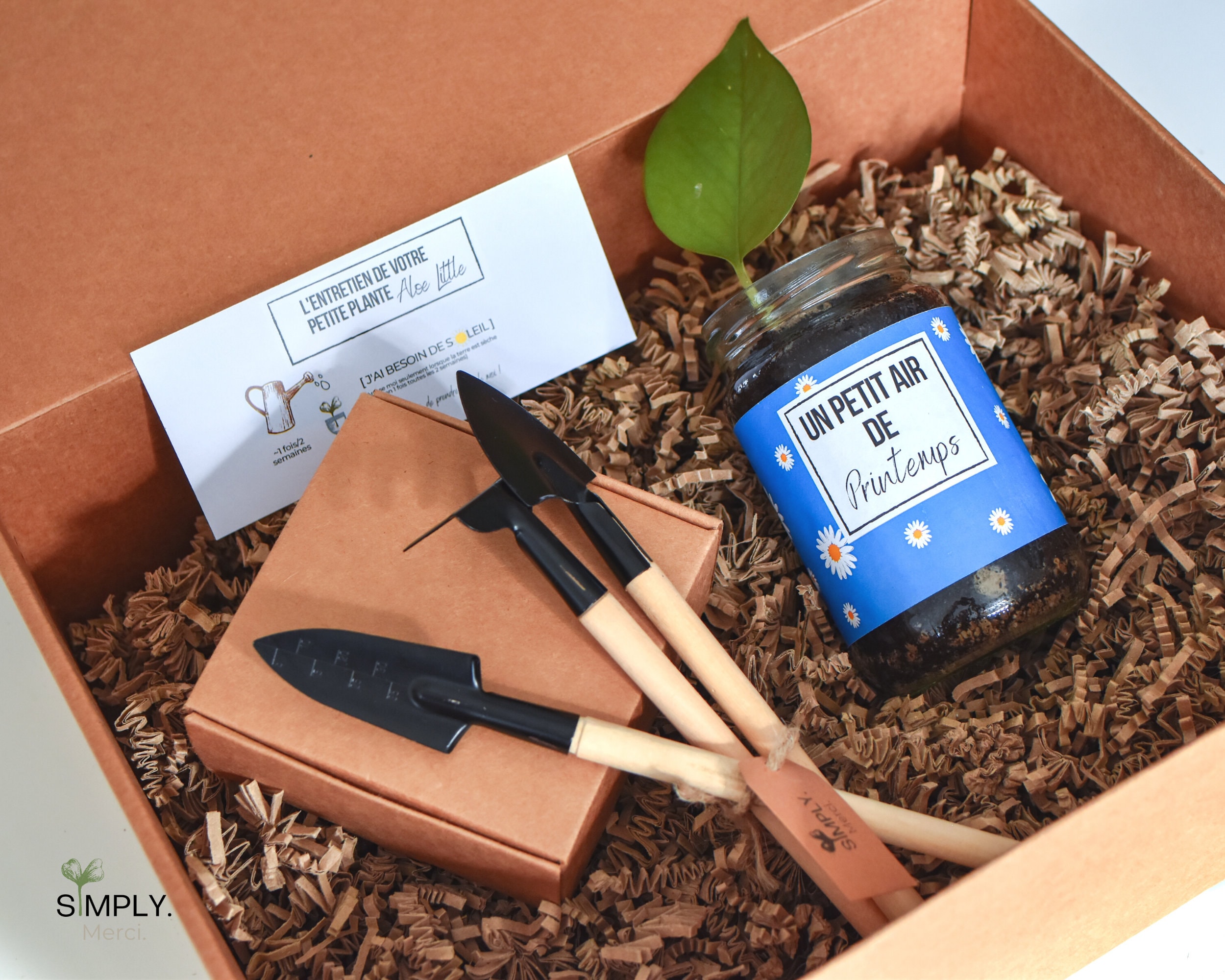 SimplyMerci – Coffret Cadeau Plantes SimplyMerci – Coffret Cadeau Plantes
