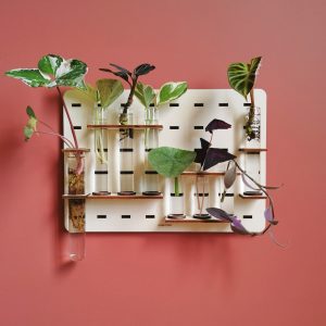 JunglePaper – Station de bouturage pour plantes JunglePaper – Station de bouturage pour plantes