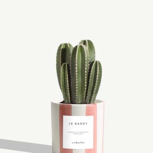 By Charlot – Le Dandy By Charlot – Le Dandy