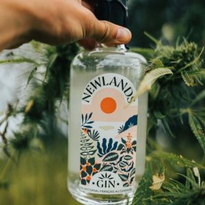 Gin bio Newlands au chanvre