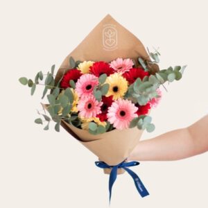 Monsieur Marguerite – Bouquet de Germinis – Passionnément Monsieur Marguerite – Bouquet de Germinis – Passionnément