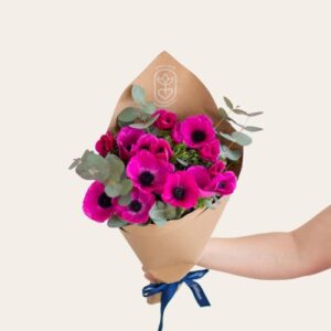 Monsieur Marguerite – Bouquet surprise d’Anémones – Passionnément Monsieur Marguerite – Bouquet surprise d’Anémones – Passionnément