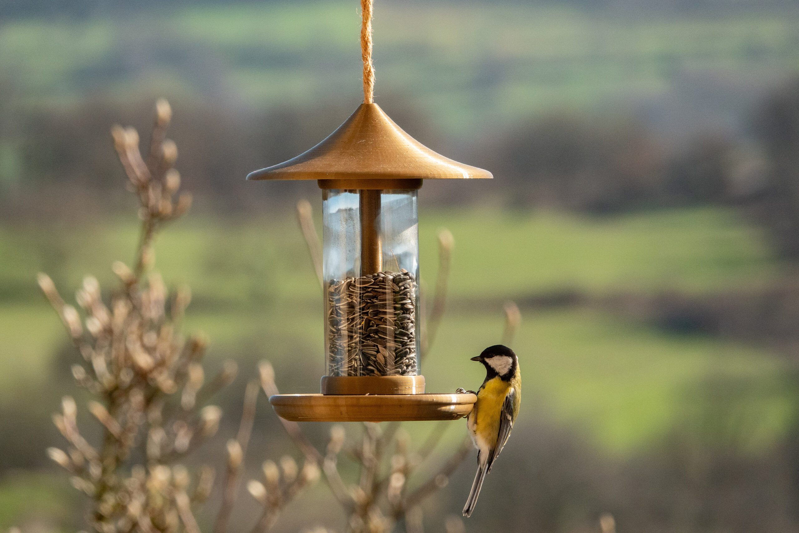 lejardindeFlavie – Mangeoire à oiseaux lejardindeFlavie – Mangeoire à oiseaux