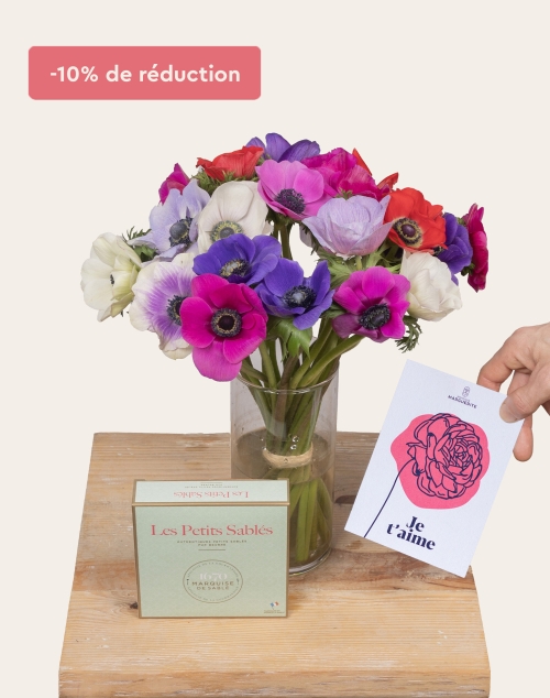 Monsieur Marguerite – Pack Mamie – Botte d’Anémones Monsieur Marguerite – Pack Mamie – Botte d’Anémones