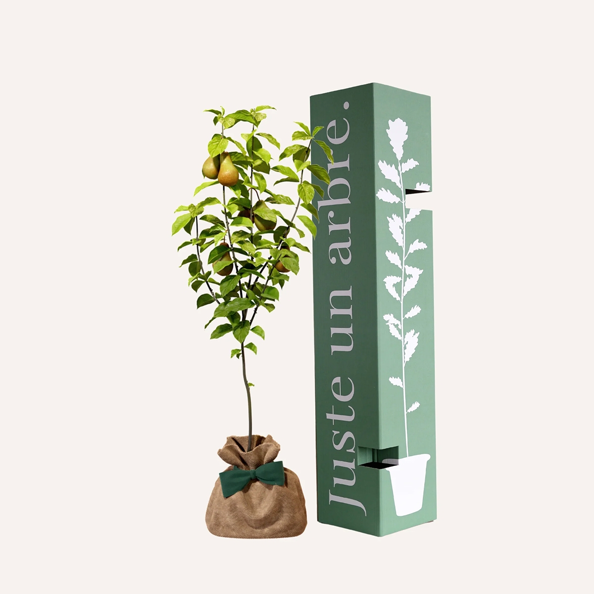 Juste un arbre – Arbre souvenir Juste un arbre – Arbre souvenir